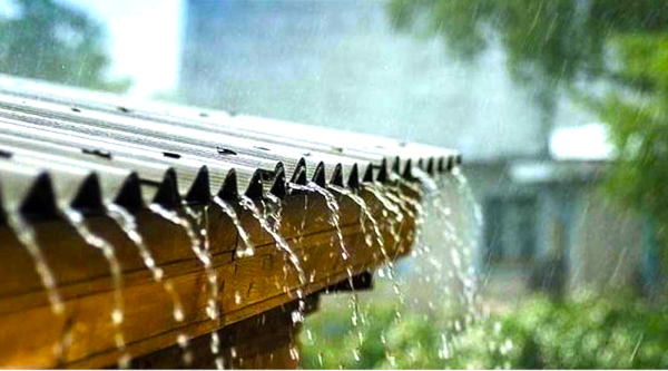 Se produjeron lluvias en Charata, cortando la ola de calor de Febrero 2024.