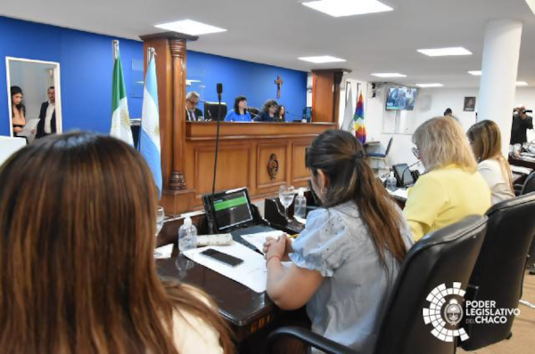 Los diputados del Chaco, con disidencias, aprobaron la nueva Ley de Ministerios de la Provincia del Chaco.