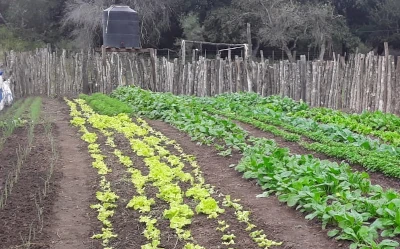 Chaco Busca Apoyar el Arraigo Rural con el Programa Ñandé.