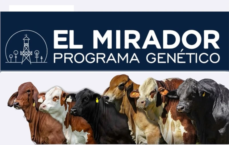Primer Jornada Ganadera del El Mirador