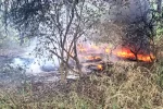 Incendio de matorrales en Charata