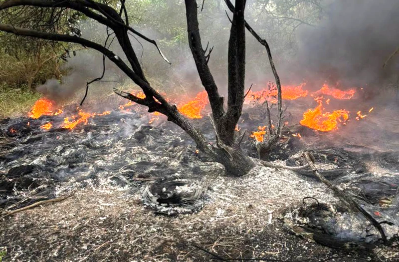 Quema de cubiertas viejas provoca incendio forestal