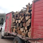Carga de madera detenida en Corzuela.
