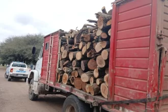 Carga de madera detenida en Corzuela.