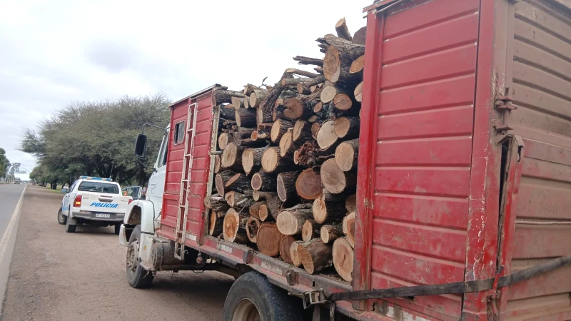 Carga de madera detenida en Corzuela.