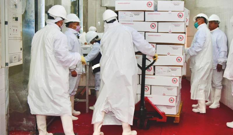 Carne caprina chaqueña de exportación