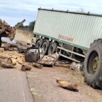 Choque en Quimilí entre camión y tractor