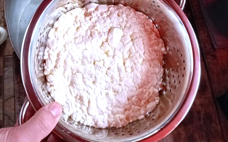 Queso de Cabra
