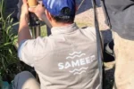 Sameep obras
