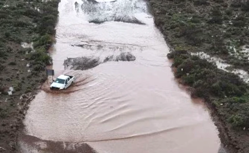 Emergencia climática en Neuquén