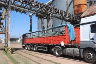 Exportaciones Chaco